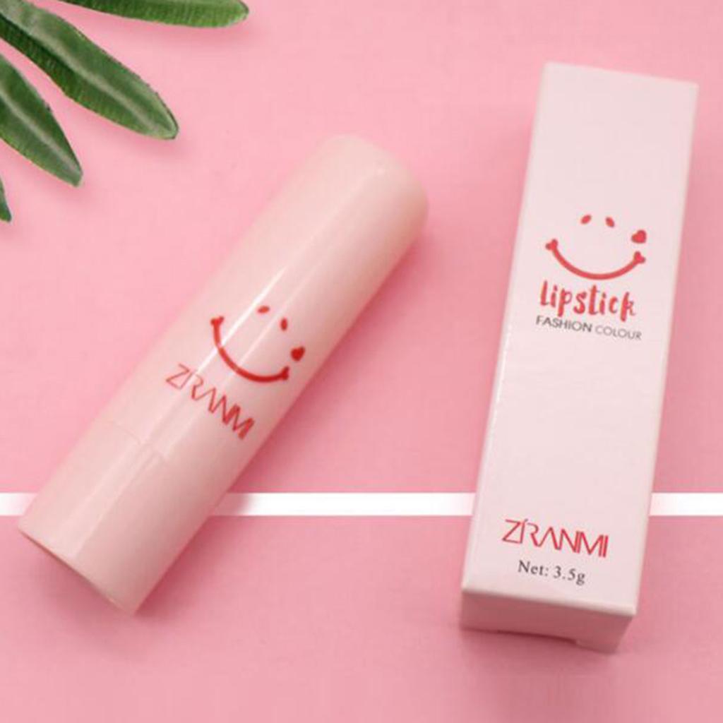 2xLong Lasting Matte Lipstick Makeup Cosmetics Moisturizing Smooth Lip Stick Dark Red