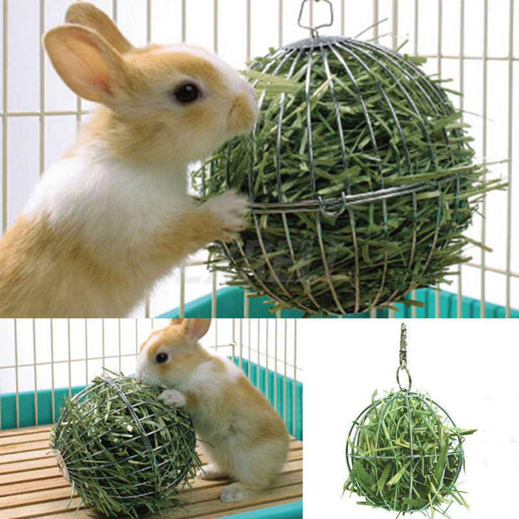 Sphere Feed Dispenser Hanging Ball Toy Guinea Pig Hamster Rat Rabbit Bunny Pet Supply#1