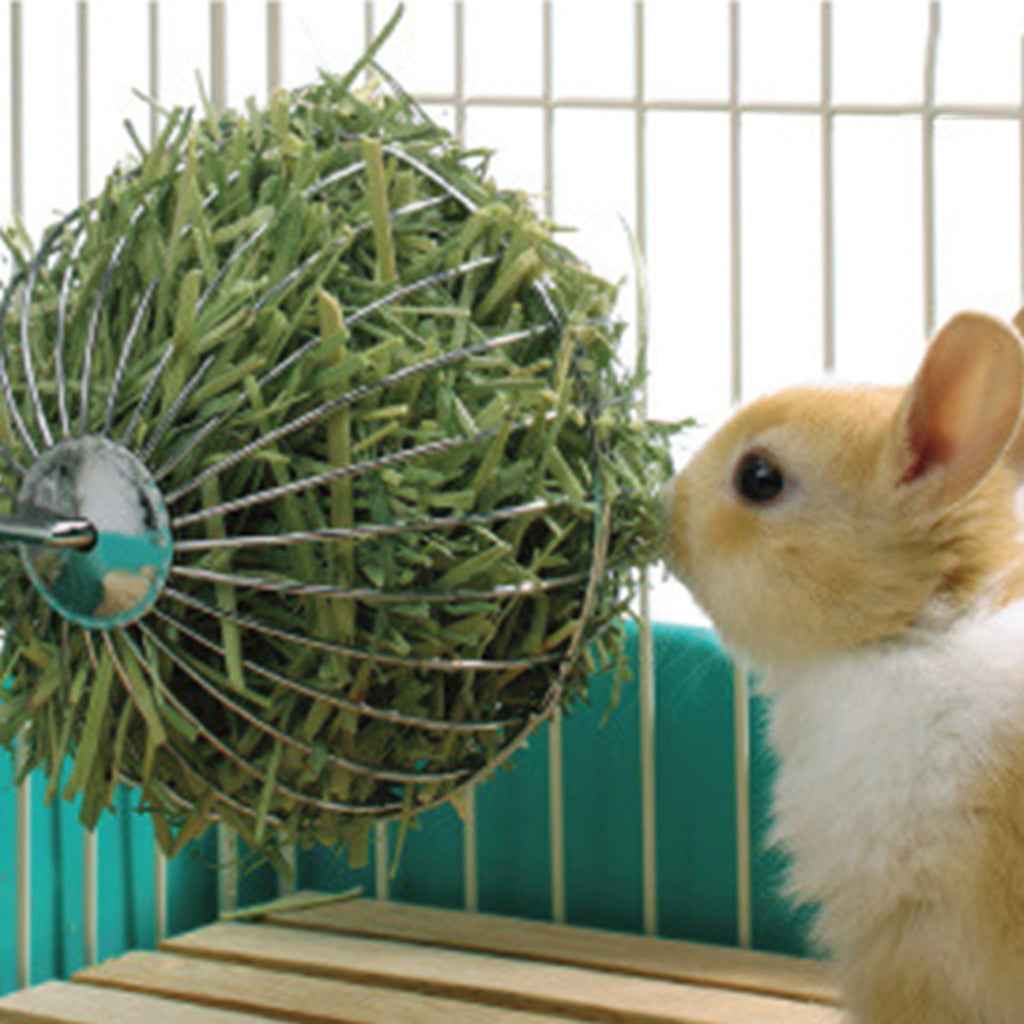 Sphere Feed Dispenser Hanging Ball Toy Guinea Pig Hamster Rat Rabbit Bunny Pet Supply#1