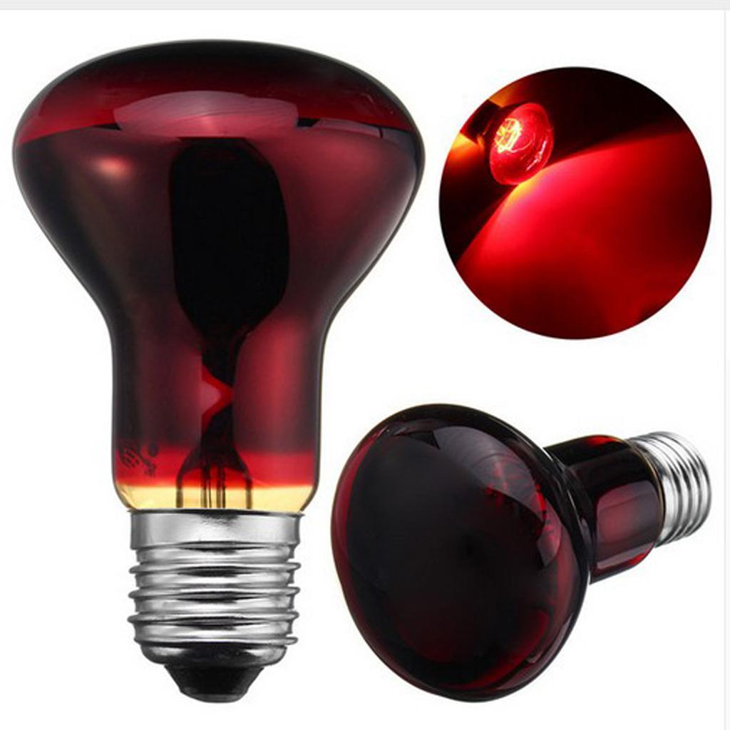 220V Reptile UVA Heat Light Bulb Night View E27 Heating Lamp-AU Plug 100W