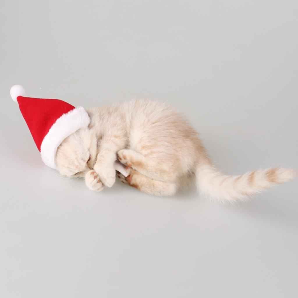 Adjustable Pet Dog Cat Christmas Santa Hat with Scarf Xmas Costume Dress S