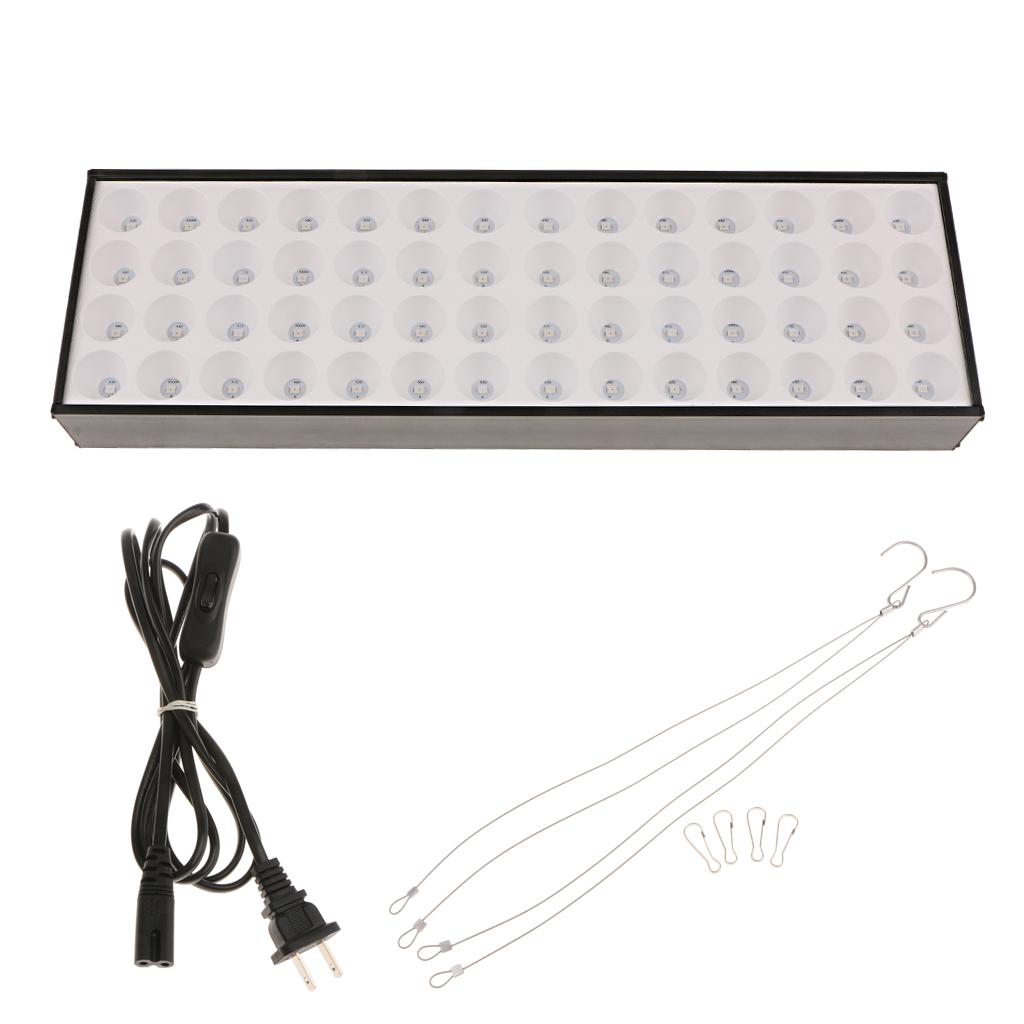 0.3 Meters of Red & Blue LED Lamp Indoor Plant Grow Succulents LED Light US