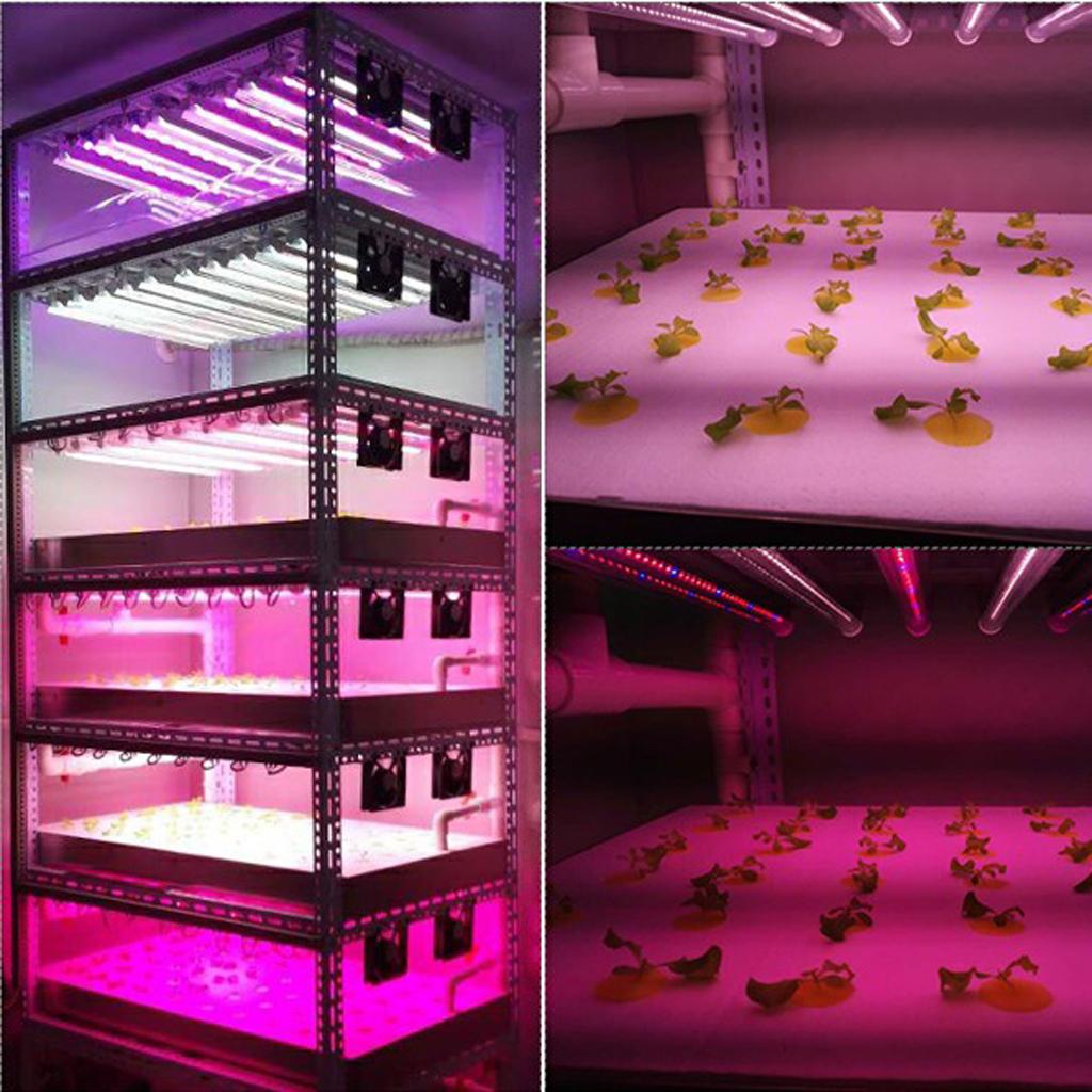 0.3 Meters of Red & Blue LED Lamp Indoor Plant Grow Succulents LED Light US