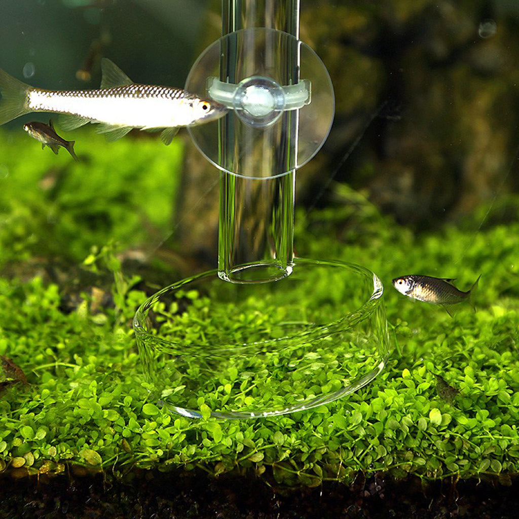 Aquarium Fish Tank Shrimp Feeding Food Dish Tray With Feeder Tube 400mm