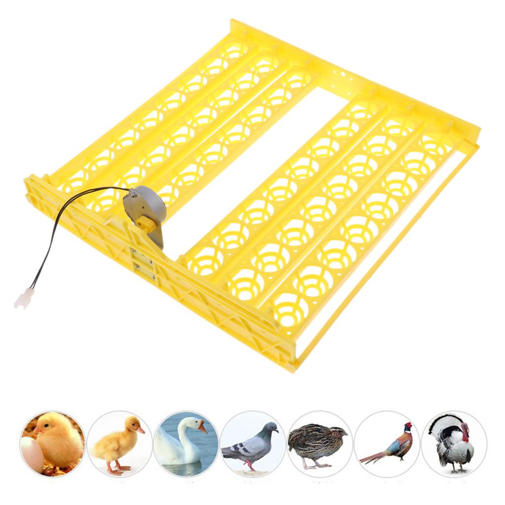 110V 56-digital Automatic Egg Turner Tray Chicken Duck Egg Incubator Turner