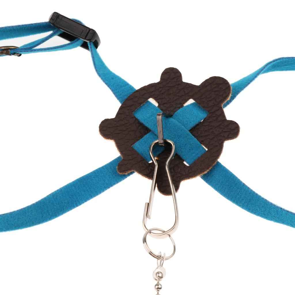Adjustable Pet Turtle Harness Leash Lead for Small Pet Animal Outdoor Blue