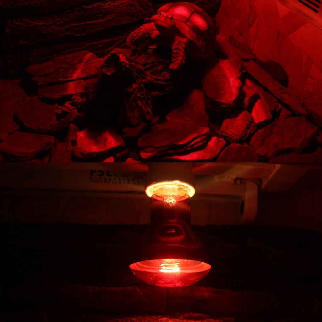 Glass Pet Heating Infrared Lamp Winter Heat Emitter Lamp Bulb E27 Red 25W