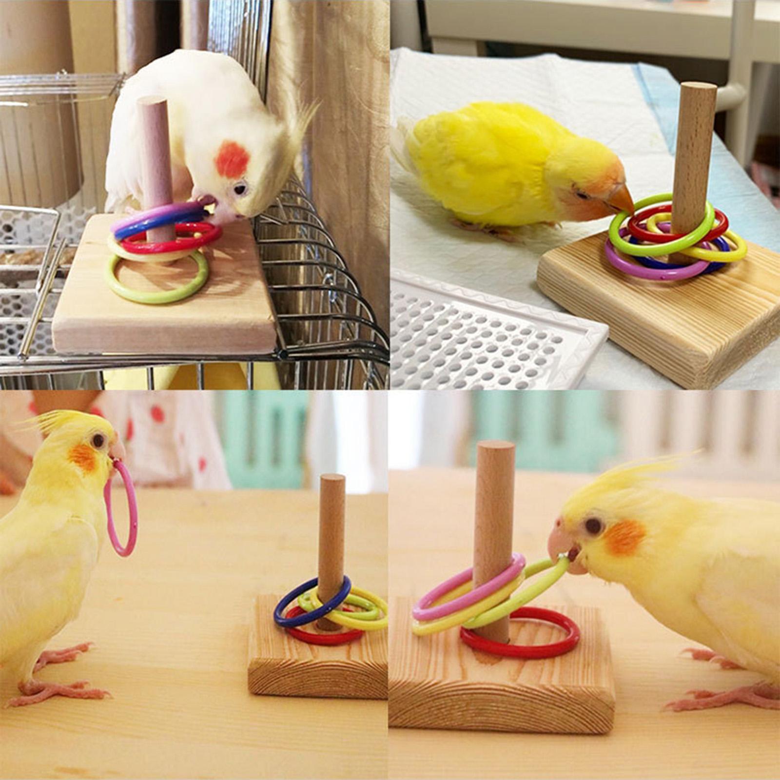 Birds Trick Tabletop Toys Educational Toys Intelligence Block Toy Rings