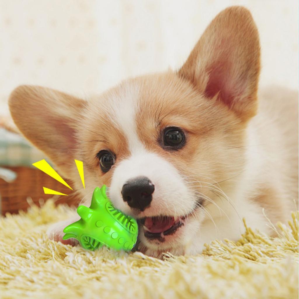 Dog Squeaky Toy Chew Toy Squeaker Training Toothbrush Puppies Pets Green