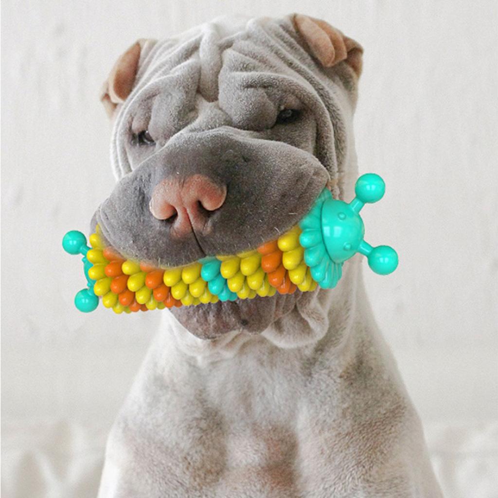 Dogs Chew Toy Interactive Molar Teeth Cleaning Training Pet Supply Blue