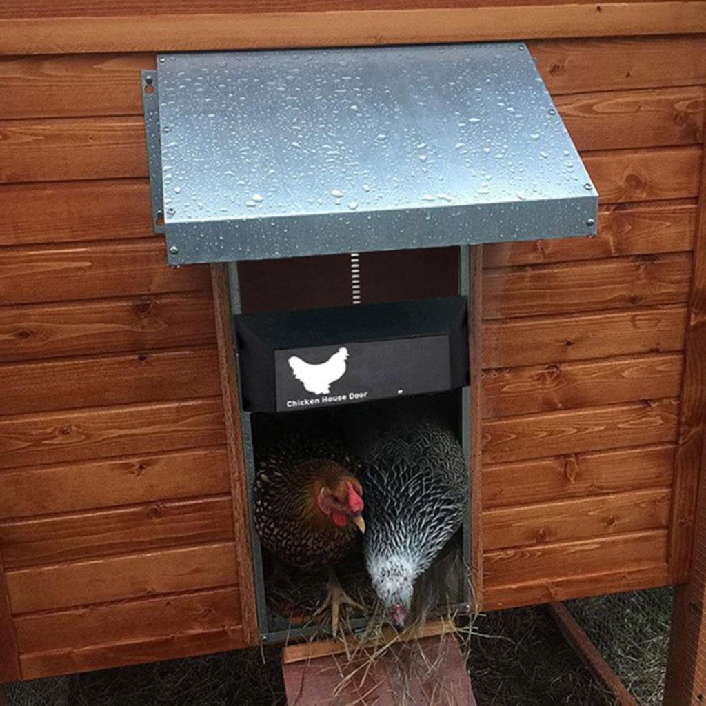 Automatic Chicken Coop Door Opener Light Sensor Automatic Chicken House Door