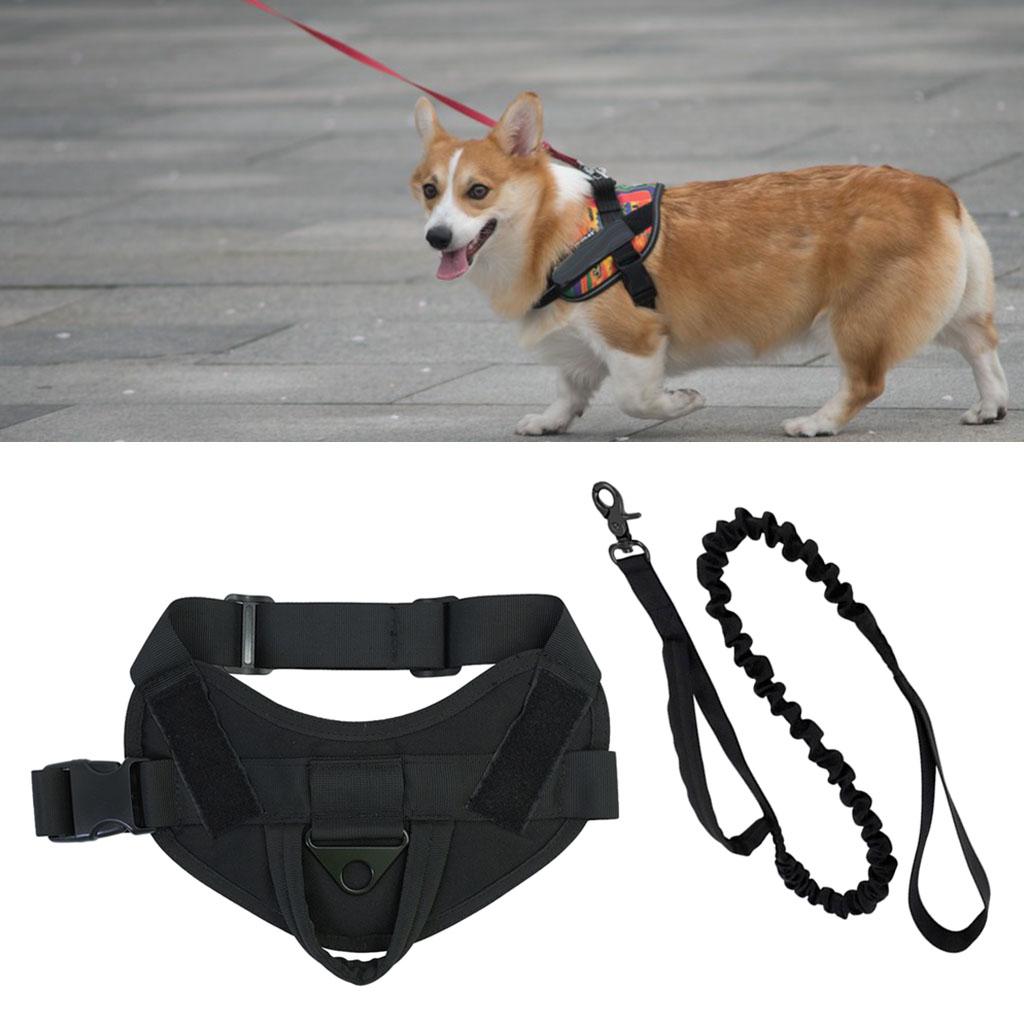 Dog Harness Vest No-Pull for Small Medium Large Dogs Hiking Black Set L