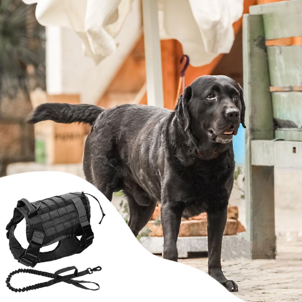 Dog Harness Service Dogs Padded Pet Vest for Training Running Black XL