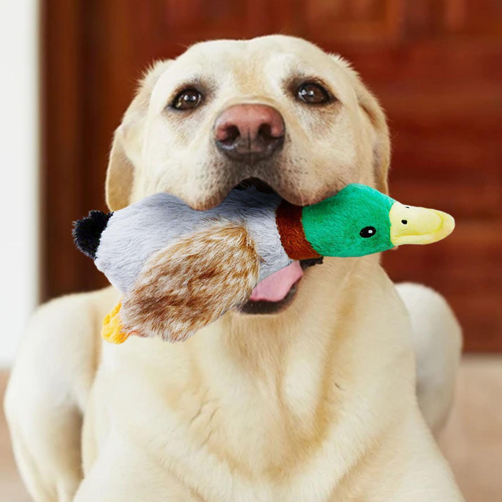 Dog Squeaky Toys Duck Plush Toy Cat Dog Chew Toy Fun Interactive Squeaker Duck Feet Style