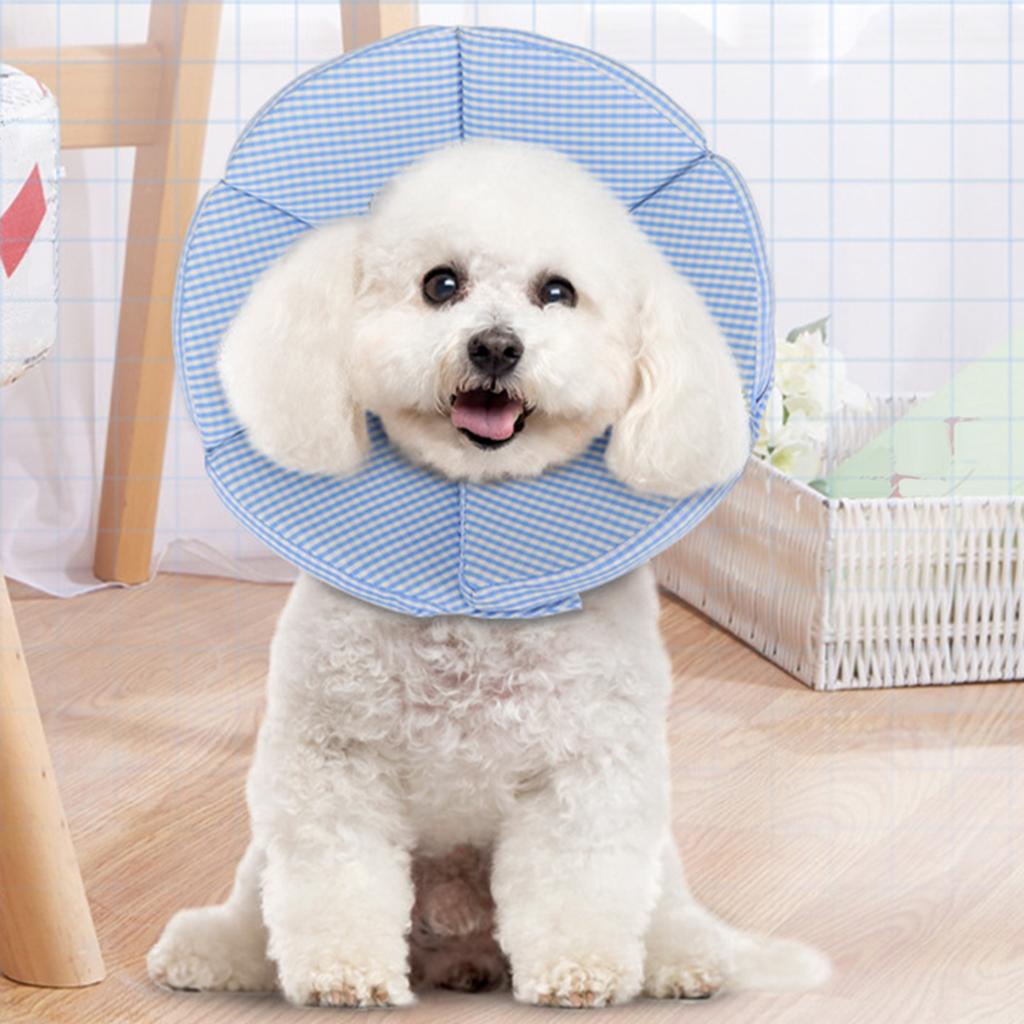 Dog Collar Recovery After Surgery Safety Elizabethan Collar E-Collar blue S