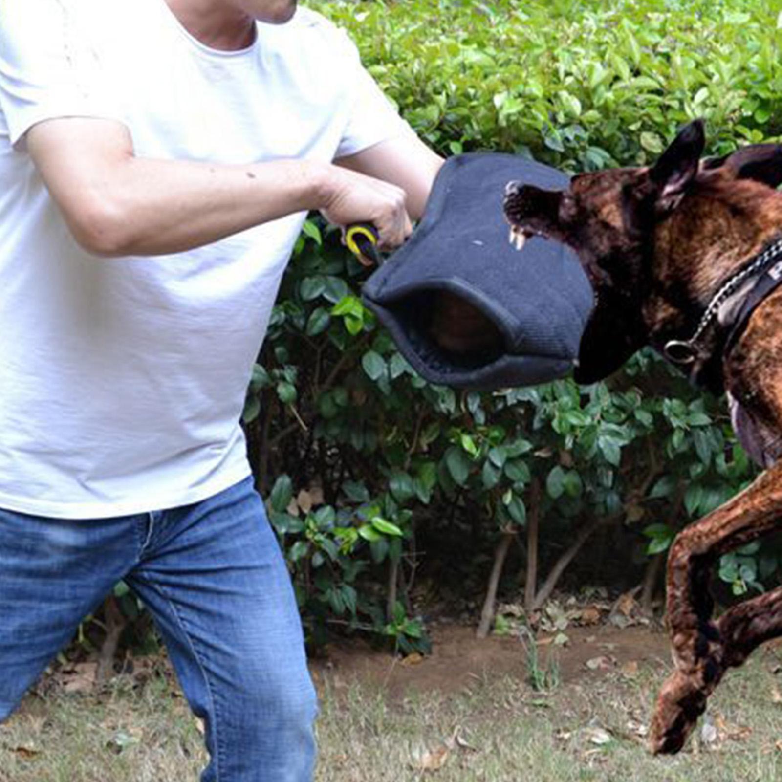 Dog Bite Sleeve Arm Training Protection Tug Agility Equipment for Mastiff