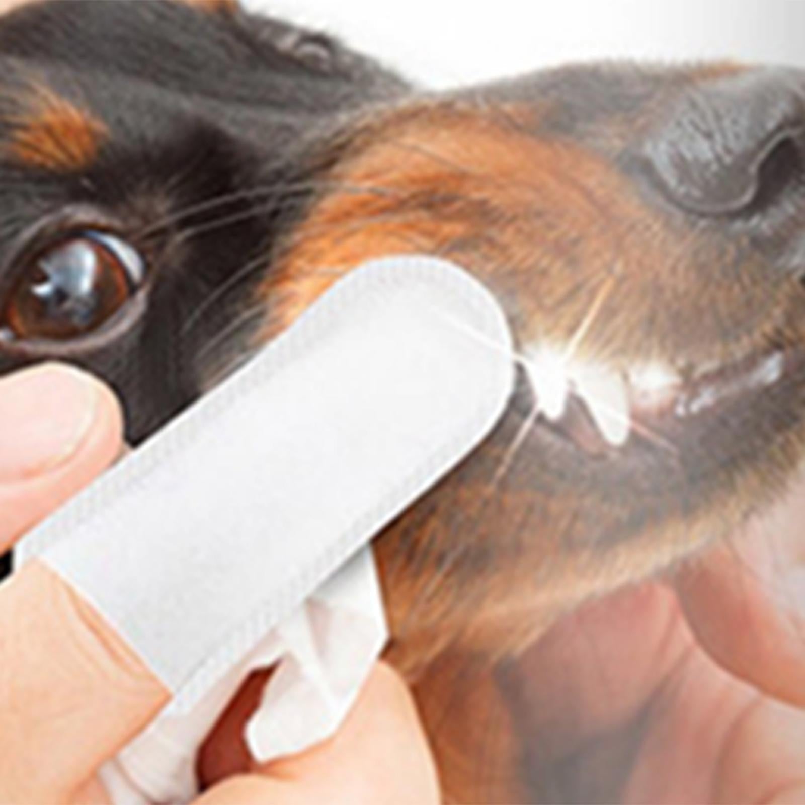 100Pcs Pet Care Finger Wipes Reduce Plaque & Tartar Dogs & Cats Disposable