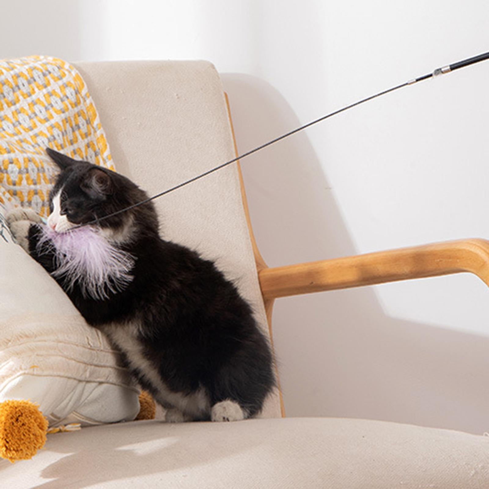 Cat Wand Toy 4 Feather Refills Training Kitten Toys Kitten Exercise Playing