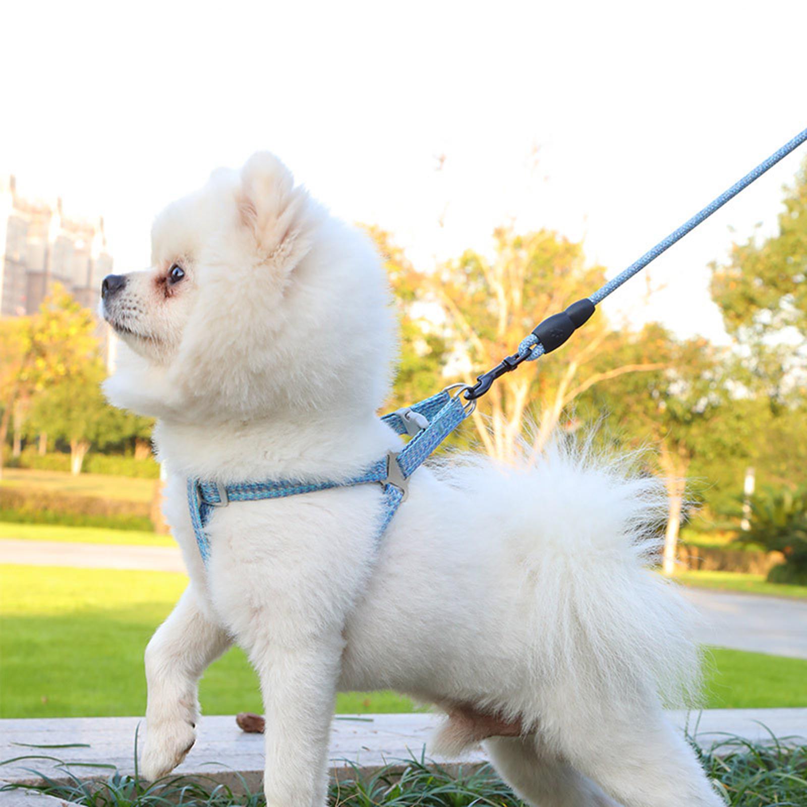 Dog Harness Set W/ Leashes Collar Chest Strap Running Pet Supplies Pink L