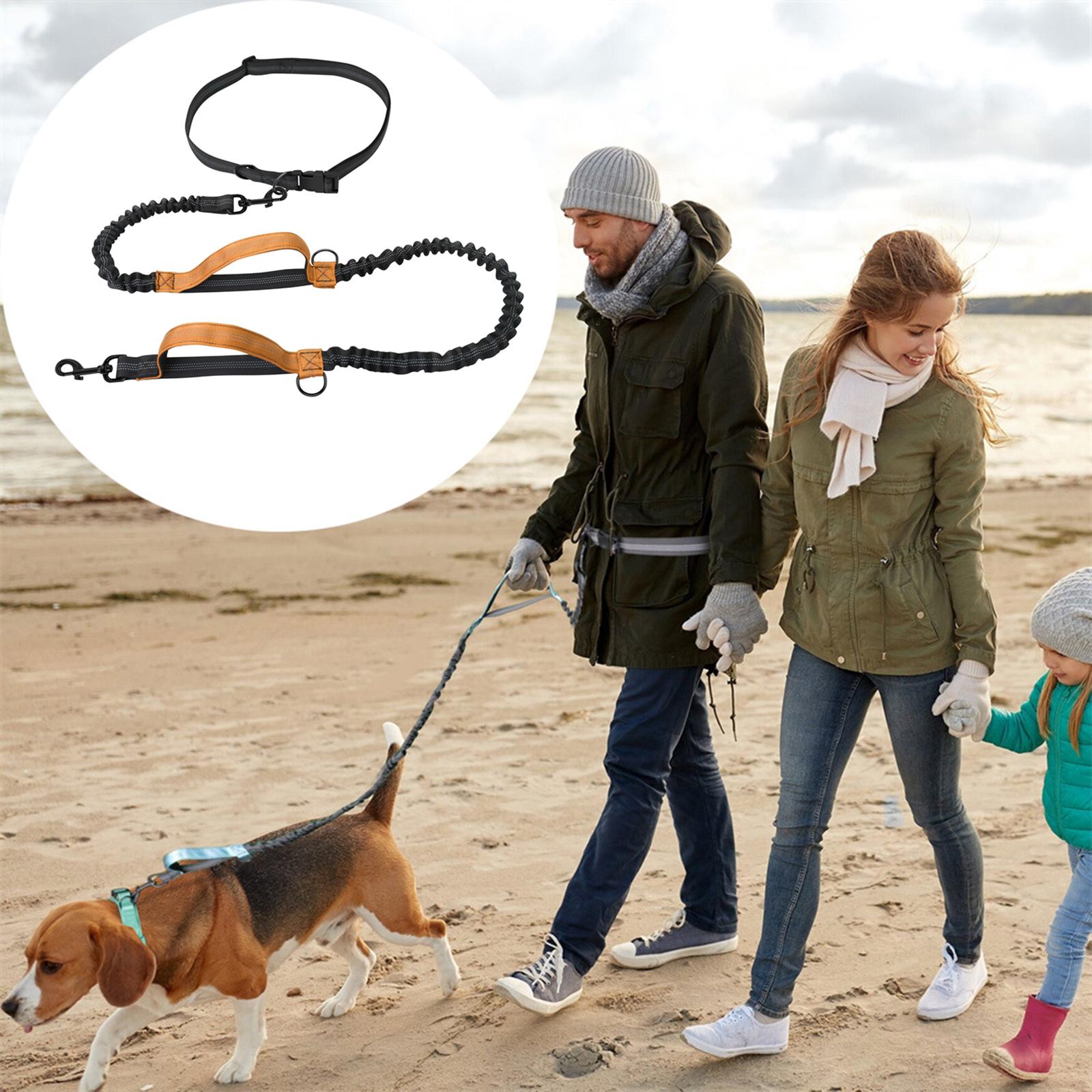Adjustable Hands Free Dog Leash Running Reflective Walking Hiking Orange