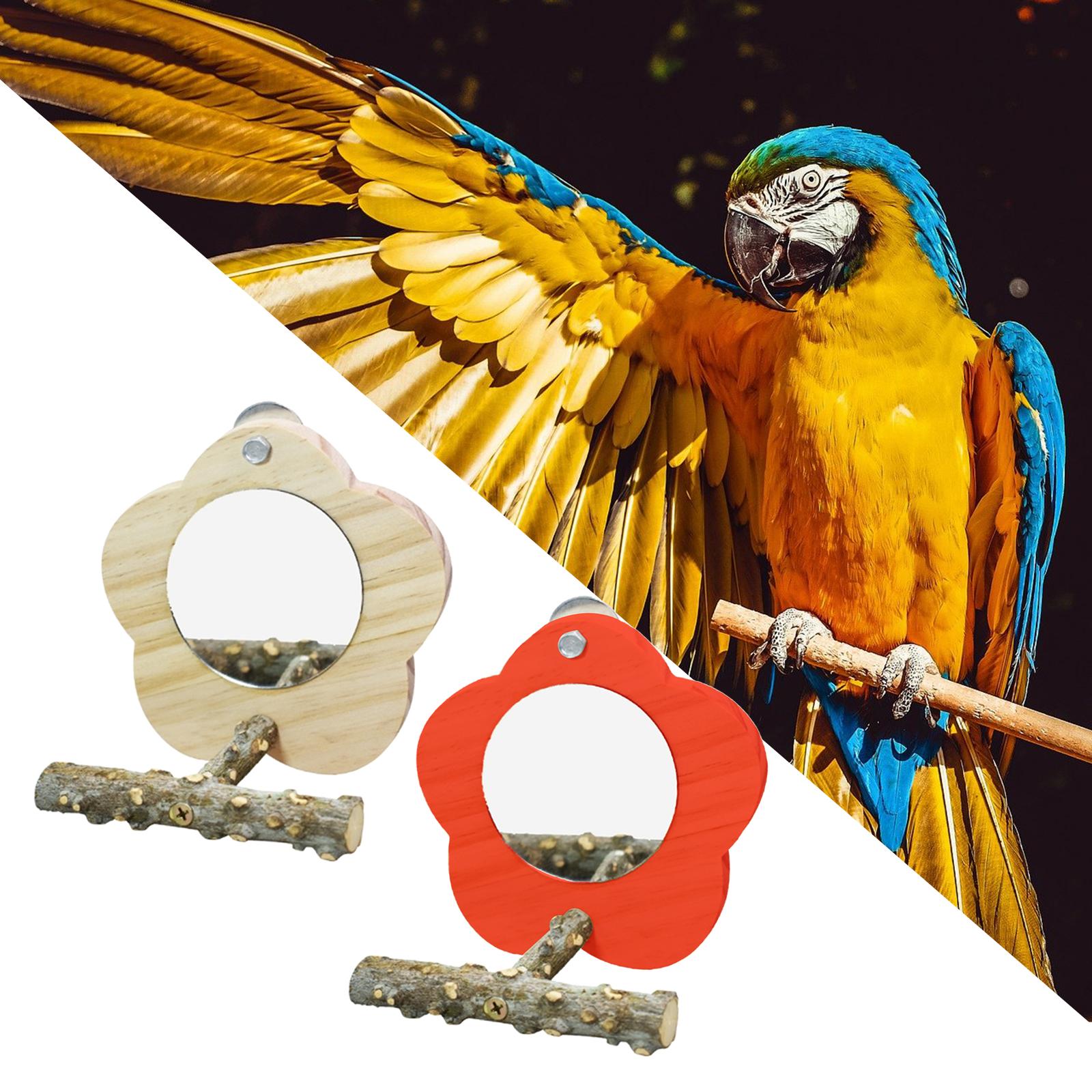 Bird Perch with Mirror Parrot Cage Toy for Lovebirds Budgies Canaries Wood
