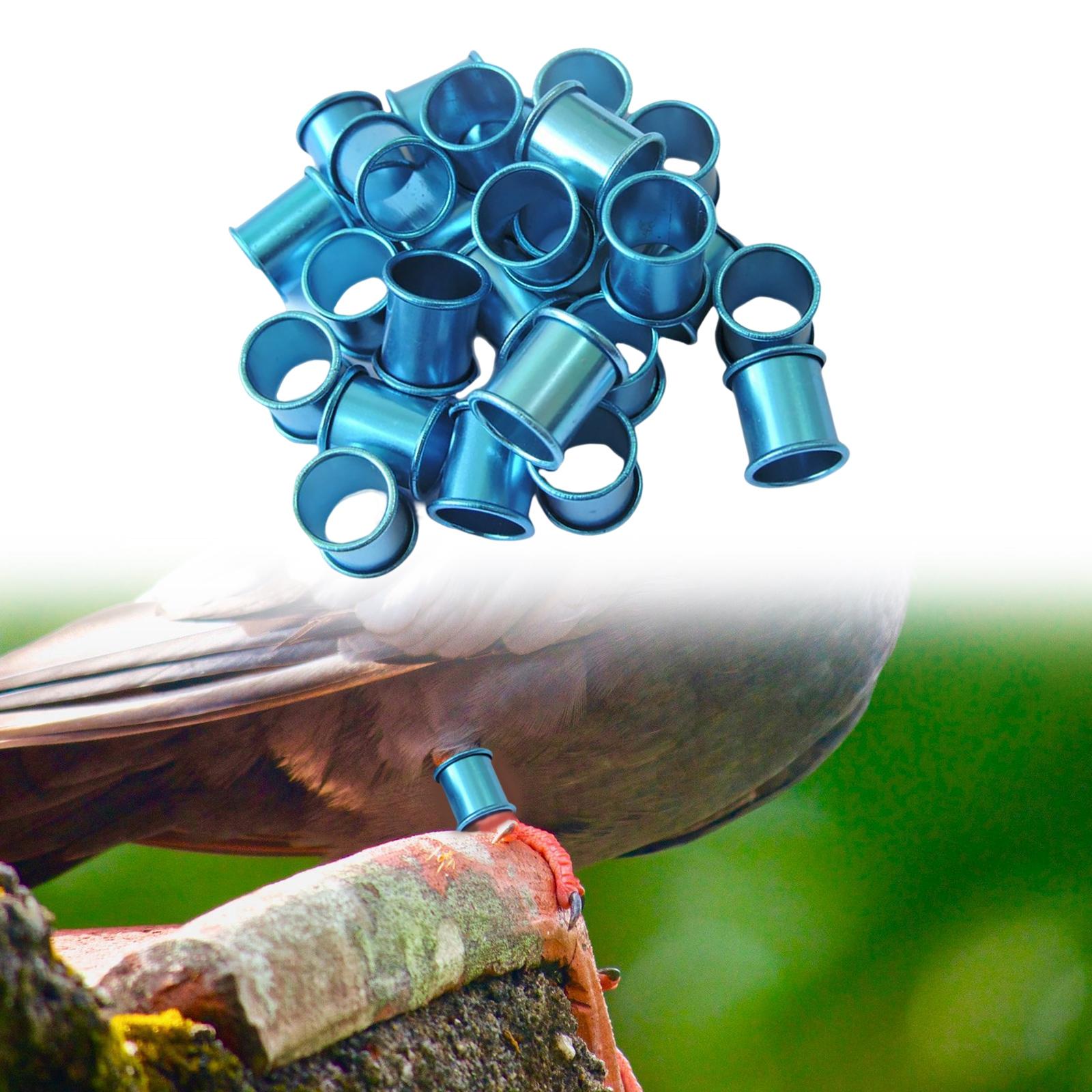 100x Pigeon Foot Rings 8mm Racing Dove Leg Bands for Parrot Quail Blue