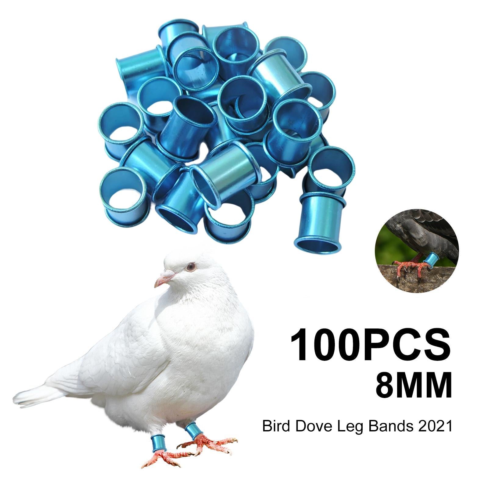 100x Pigeon Foot Rings 8mm Racing Dove Leg Bands for Parrot Quail Blue