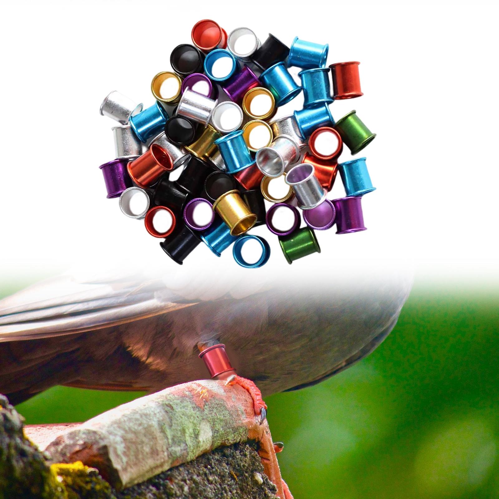 100x Pigeon Foot Rings 8mm Racing Dove Leg Bands for Parrot Quail Multicolor