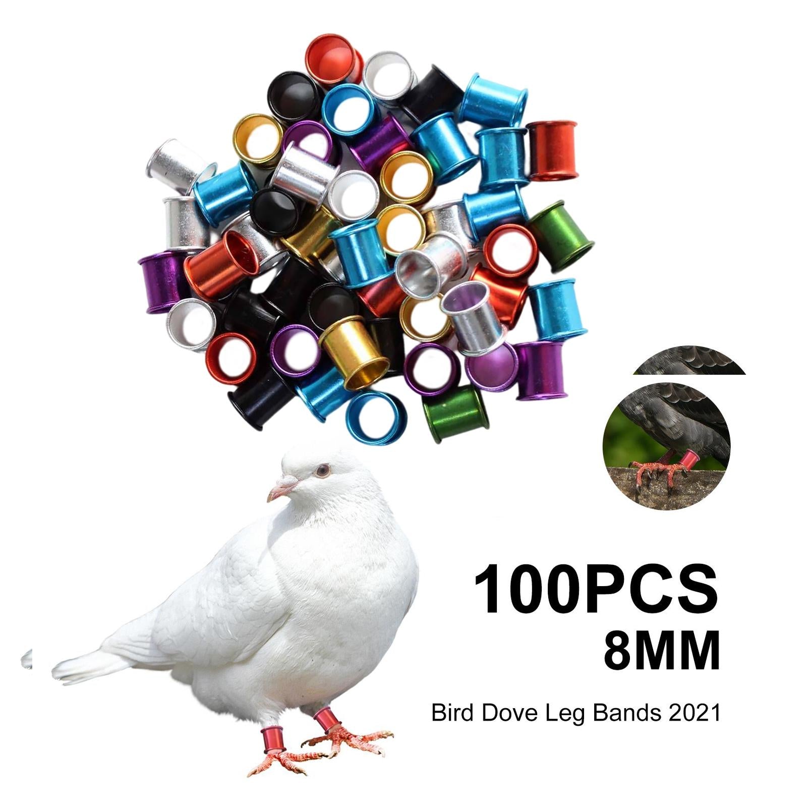 100x Pigeon Foot Rings 8mm Racing Dove Leg Bands for Parrot Quail Multicolor