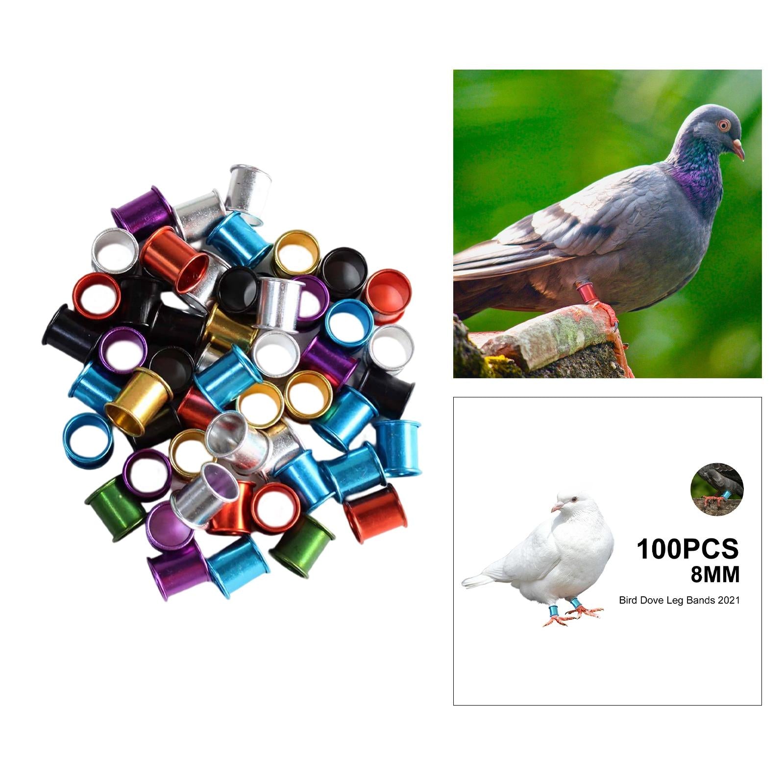 100x Pigeon Foot Rings 8mm Racing Dove Leg Bands for Parrot Quail Multicolor