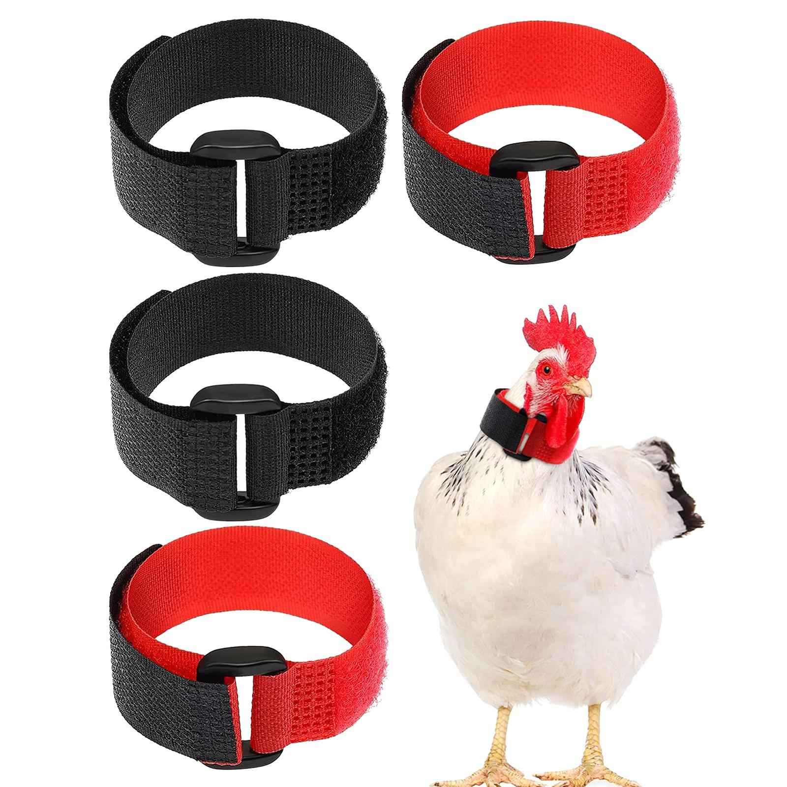 4pcs Cockerel Rooster Quiet Collar No Crow Anti Noise Neck Band Belt