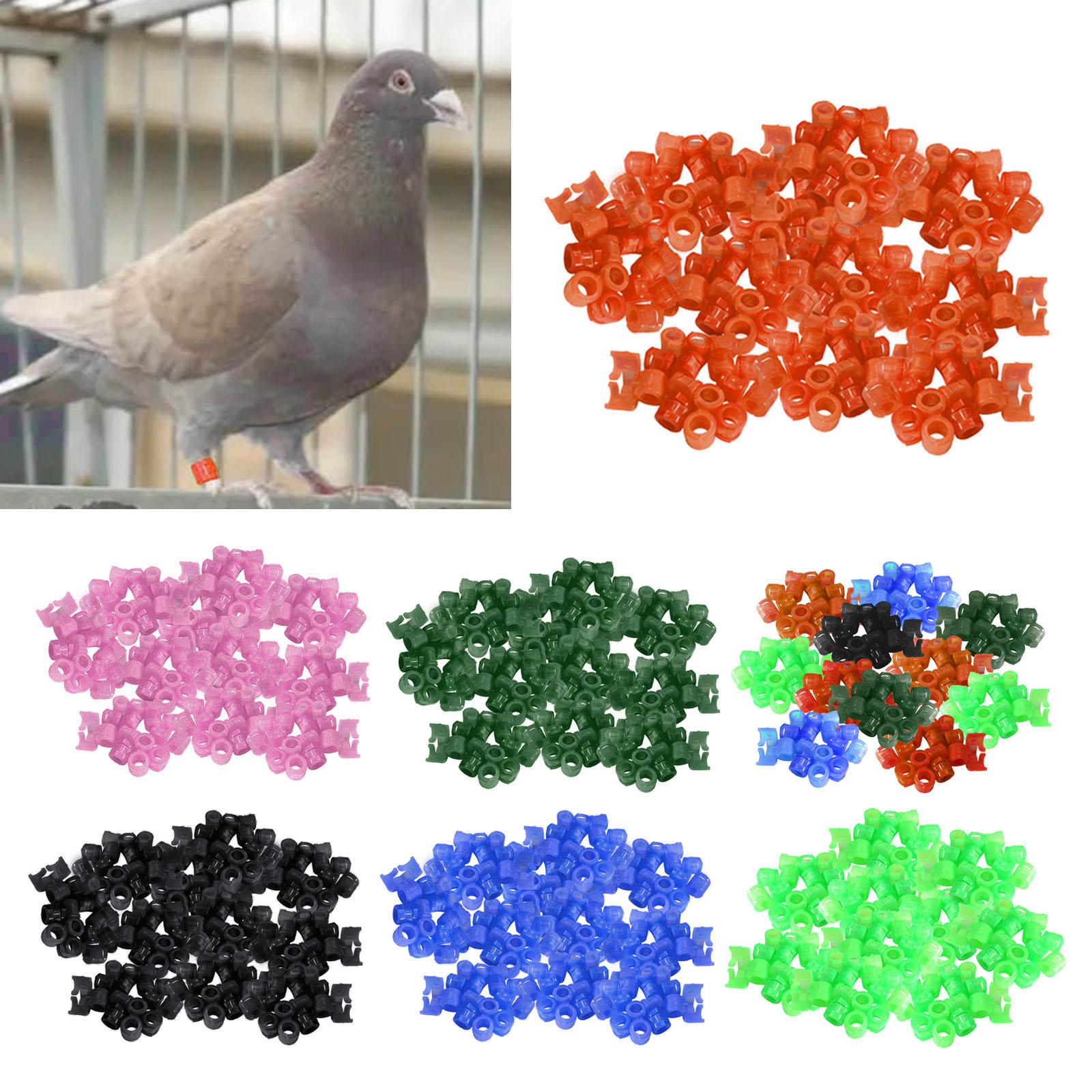 100Pcs Birds Foot Bands Competition Pigeon Clip On Leg Rings Green