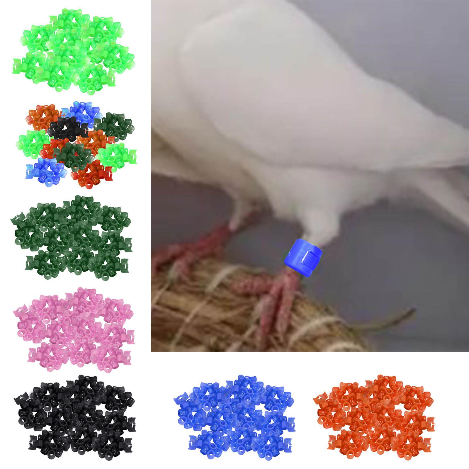 100Pcs Birds Foot Bands Competition Pigeon Clip On Leg Rings Green