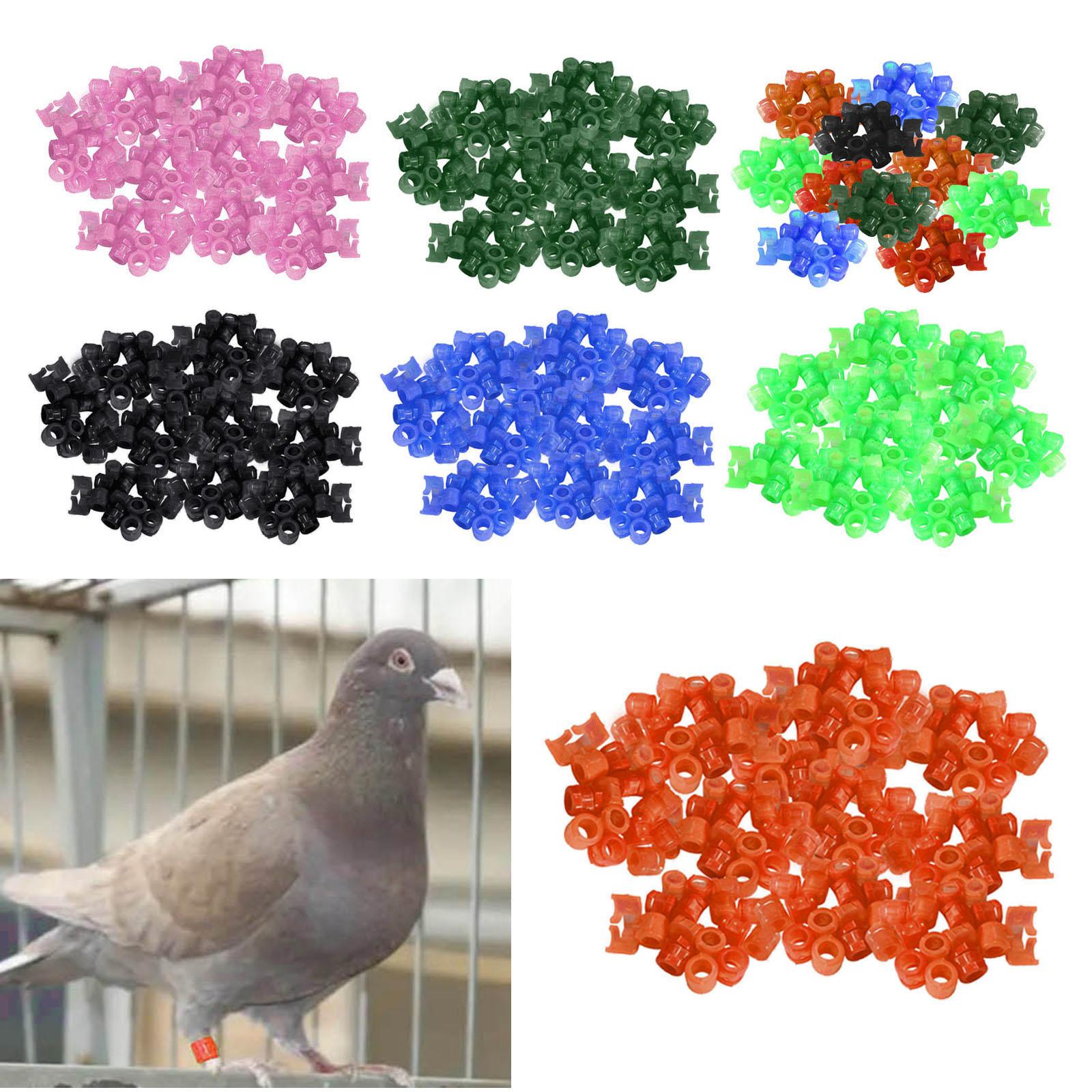 100Pcs Birds Foot Bands Competition Pigeon Clip On Leg Rings Green