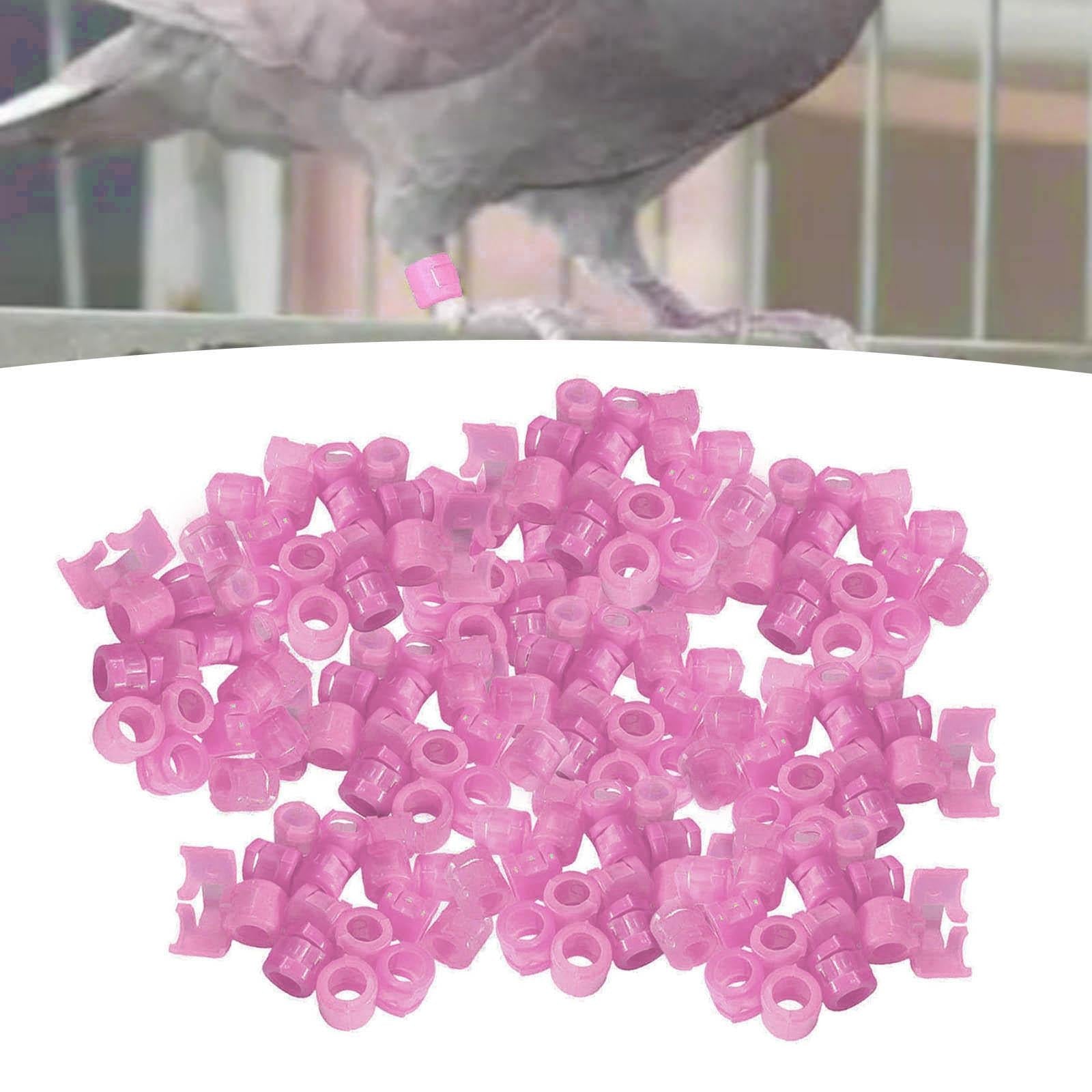 100Pcs Birds Foot Bands Competition Pigeon Clip On Leg Rings Red