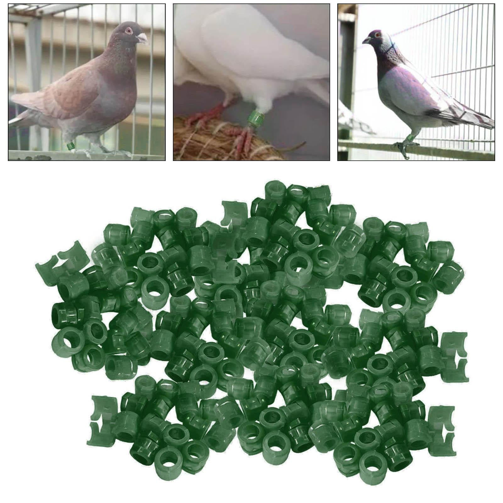 100Pcs Birds Foot Bands Competition Pigeon Clip On Leg Rings Dark Green