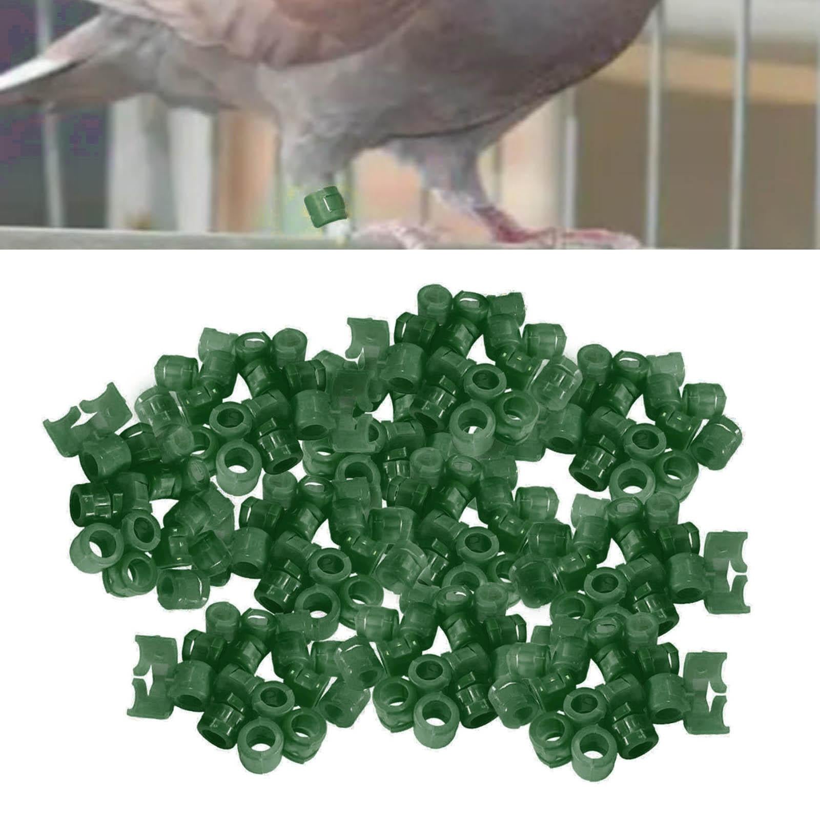 100Pcs Birds Foot Bands Competition Pigeon Clip On Leg Rings Dark Green
