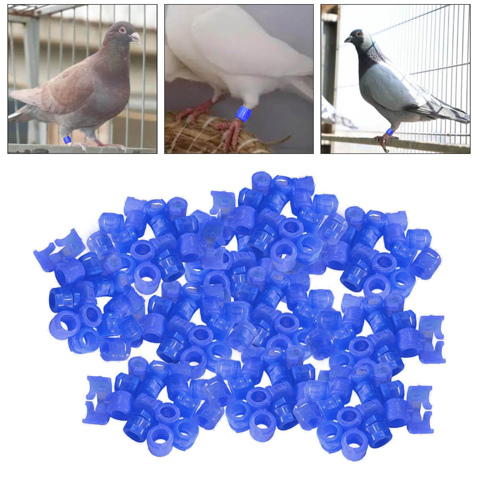 100Pcs Birds Foot Bands Competition Pigeon Clip On Leg Rings Blue