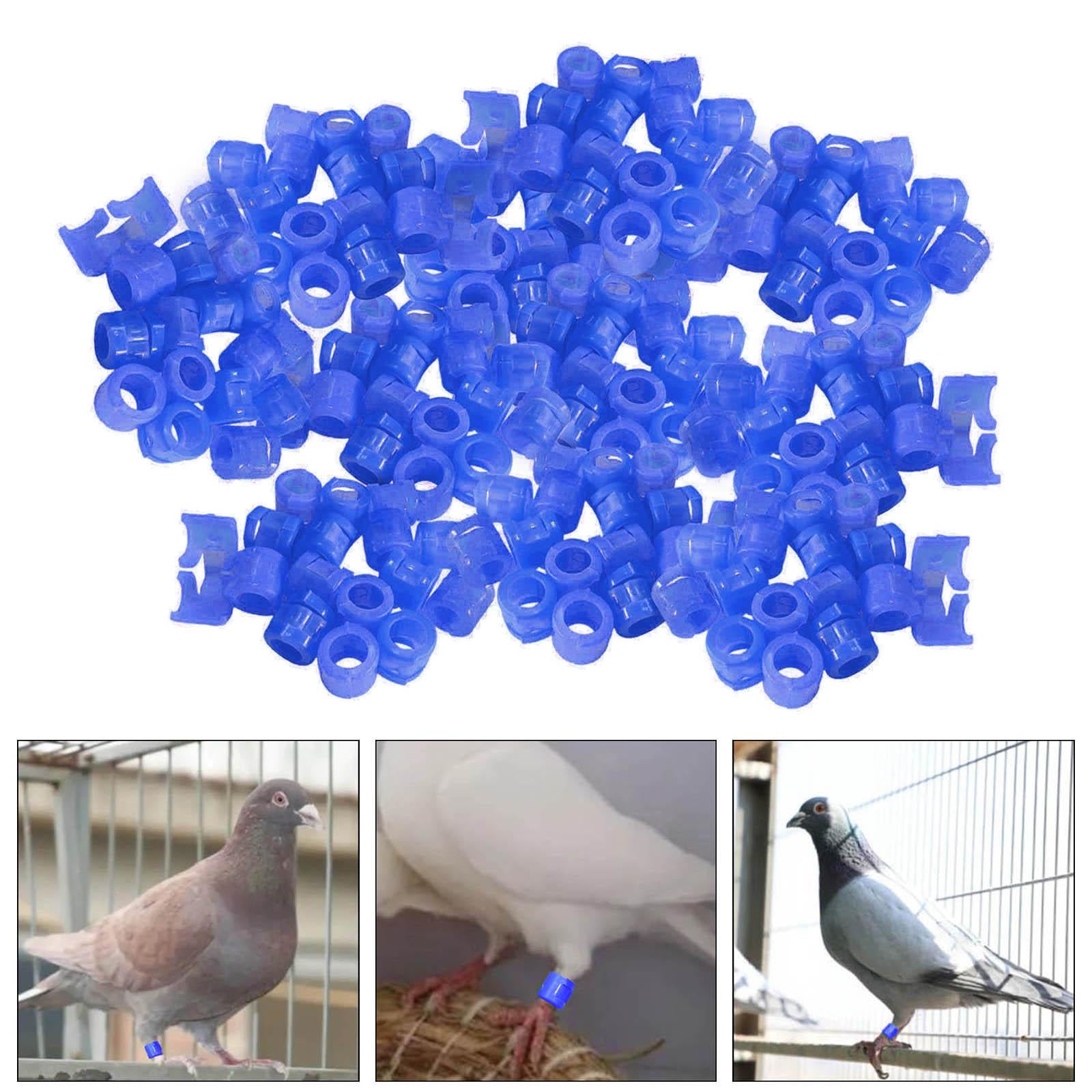 100Pcs Birds Foot Bands Competition Pigeon Clip On Leg Rings Blue