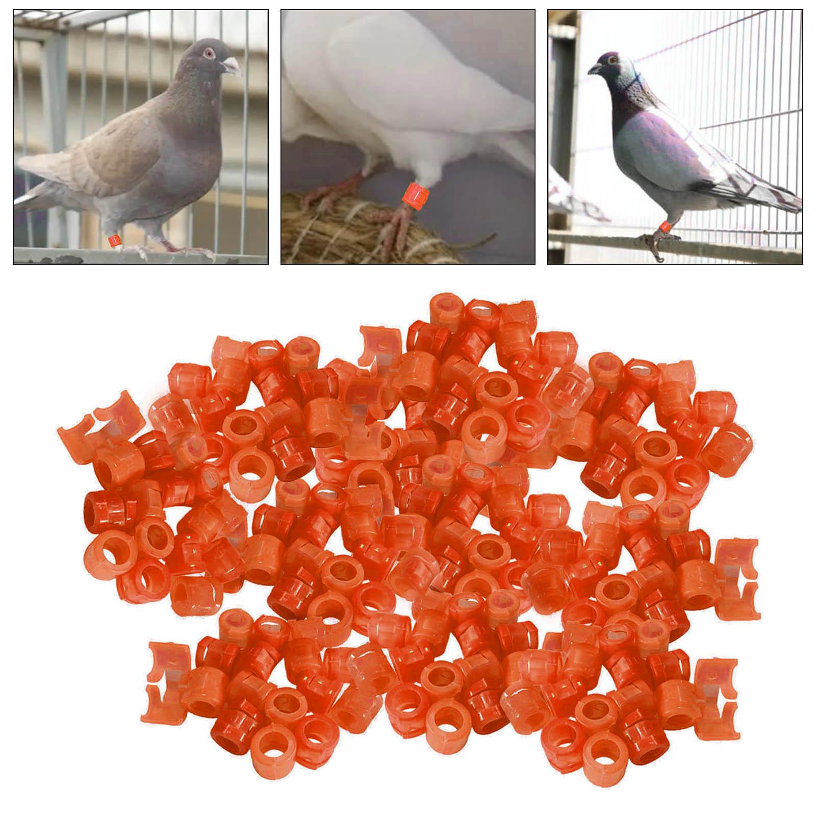 100Pcs Birds Foot Bands Competition Pigeon Clip On Leg Rings Orange