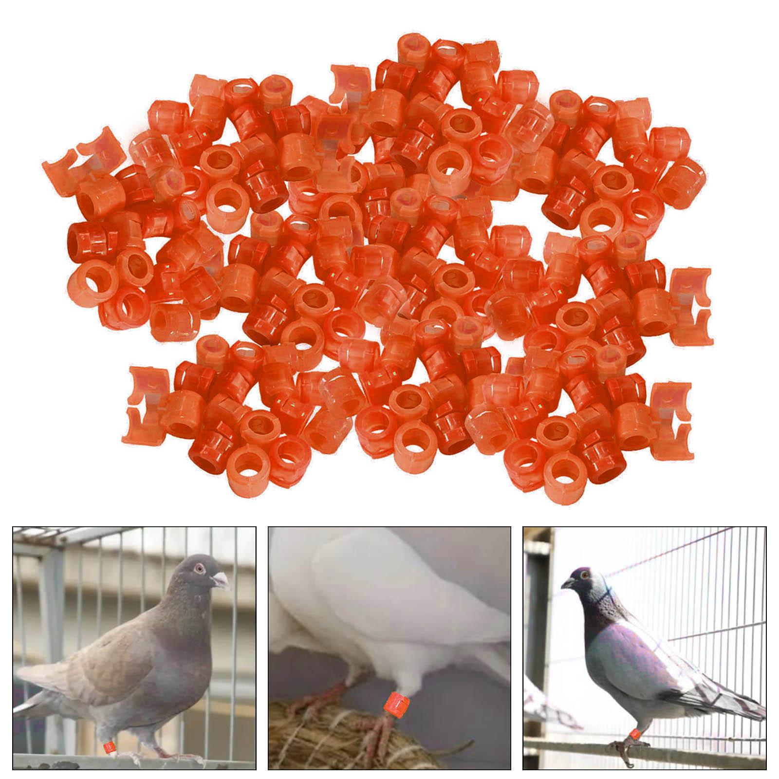 100Pcs Birds Foot Bands Competition Pigeon Clip On Leg Rings Orange