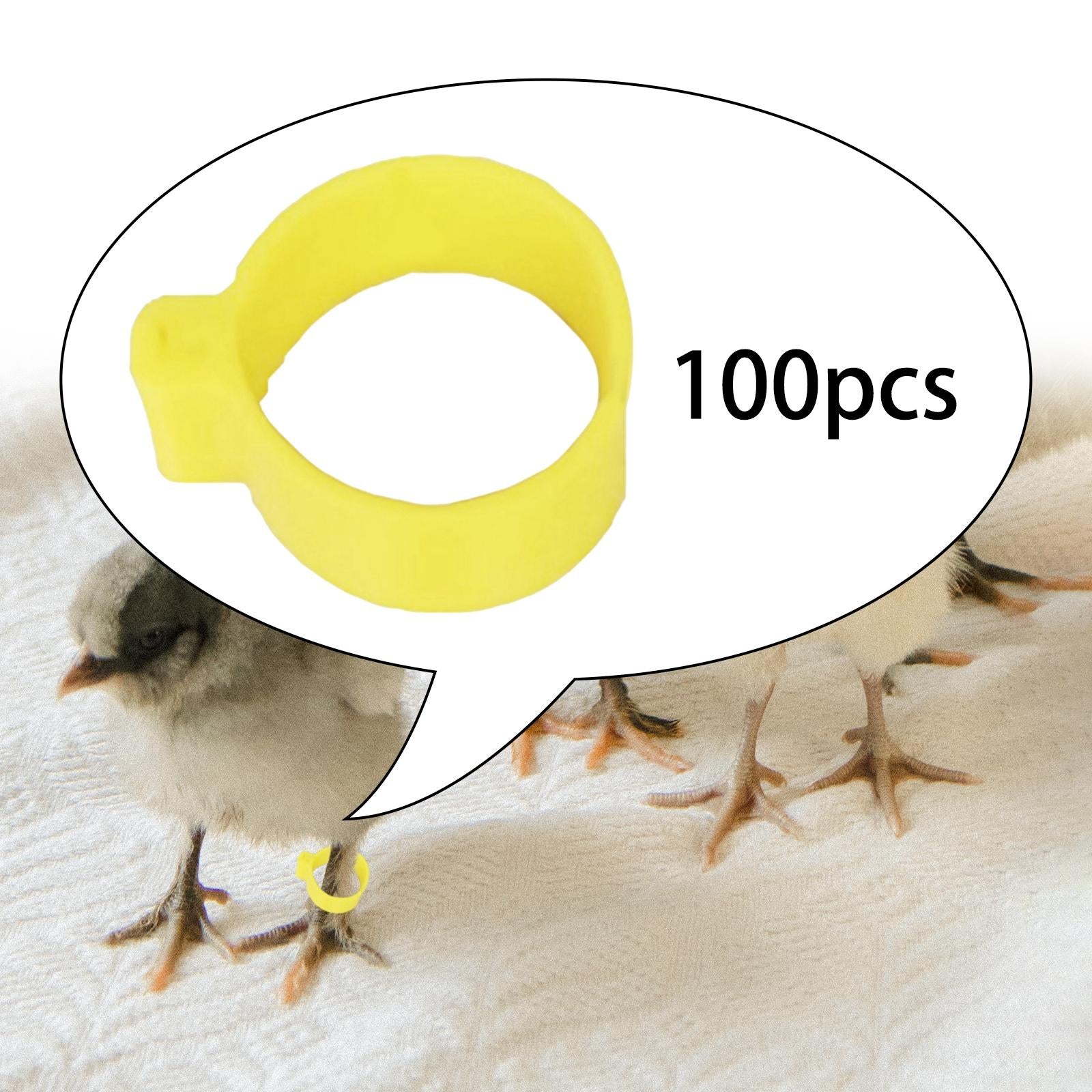 100x Reusable Pigeon Leg Foot Rings Clip On Bird Dove Duck Bands Yellow