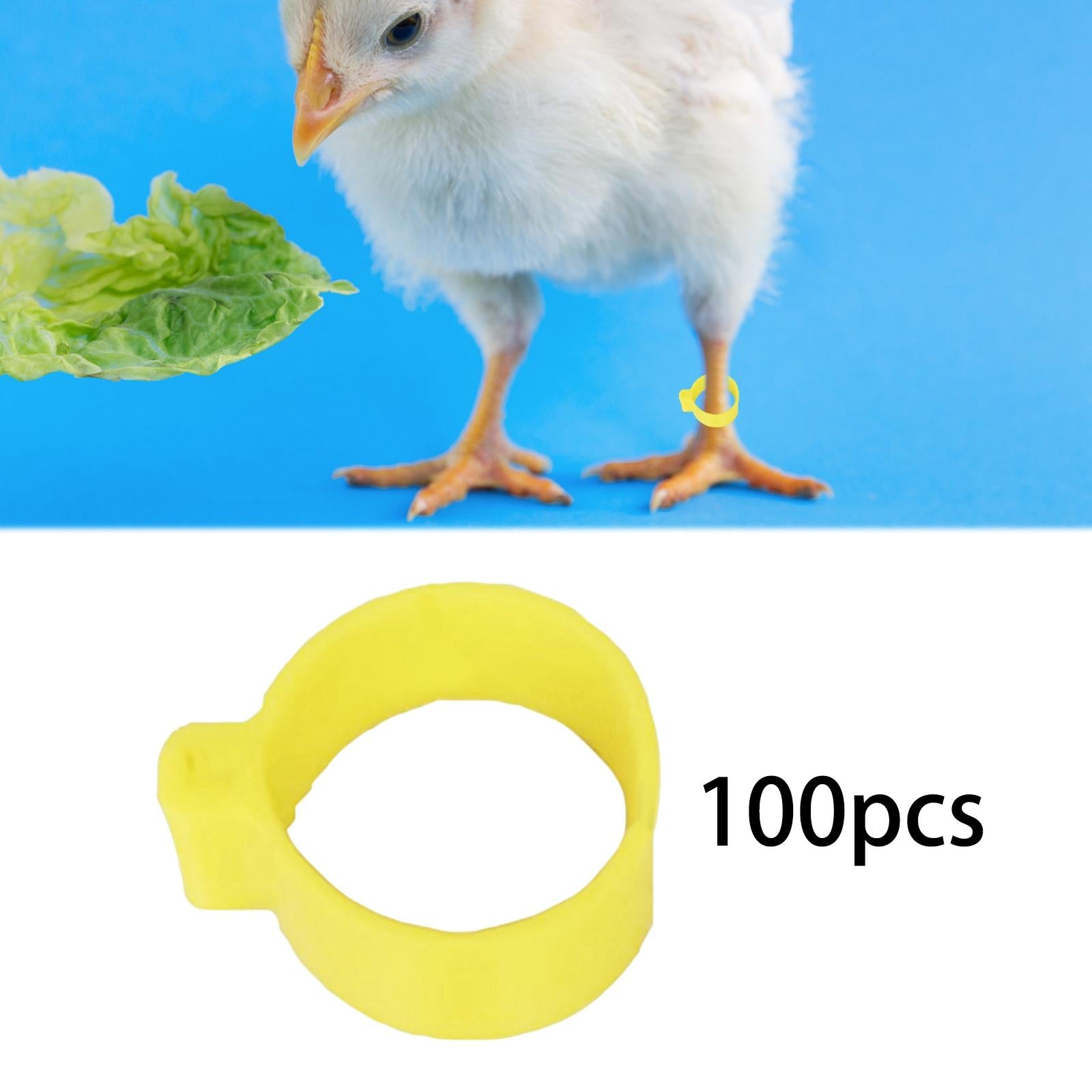 100x Reusable Pigeon Leg Foot Rings Clip On Bird Dove Duck Bands Yellow