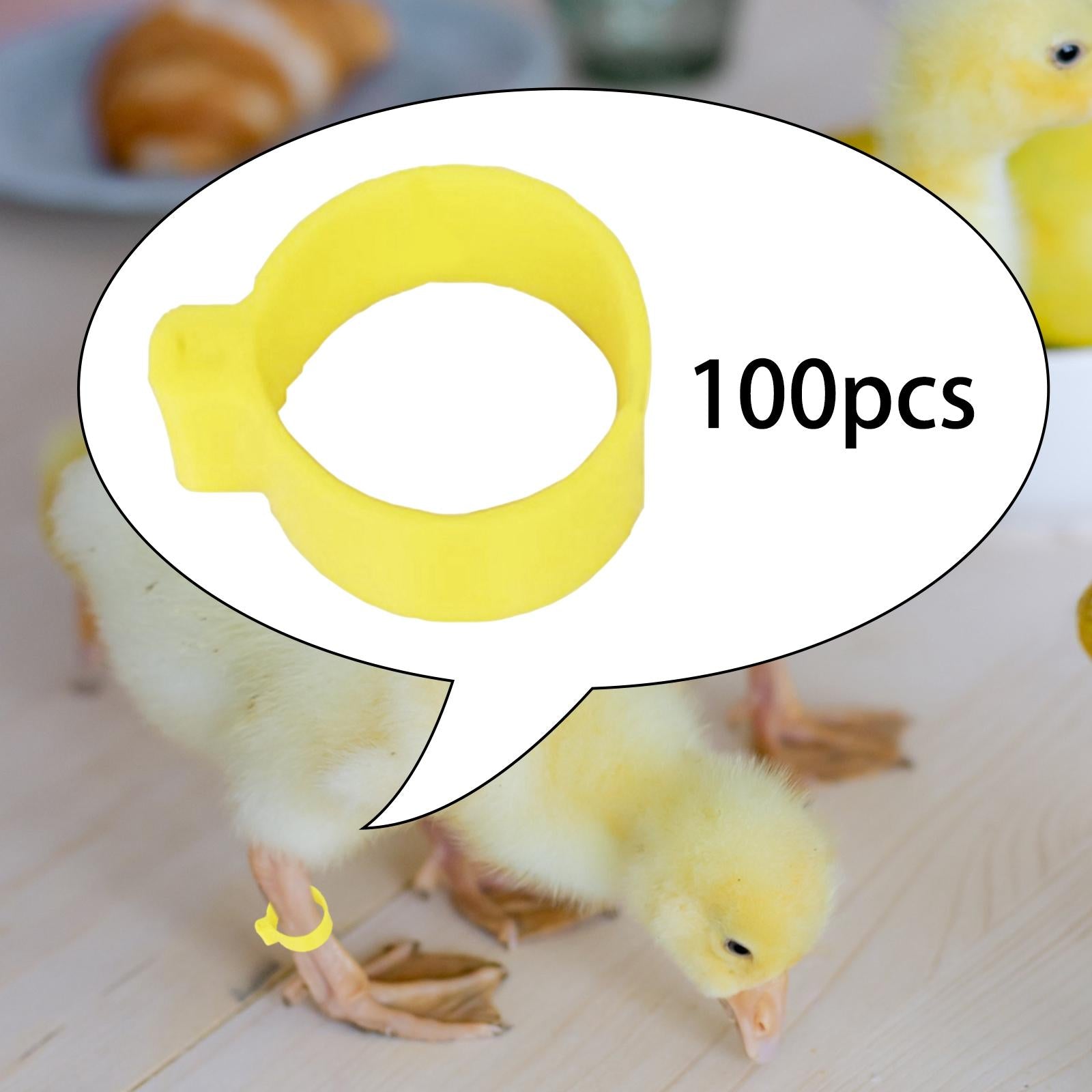 100x Reusable Pigeon Leg Foot Rings Clip On Bird Dove Duck Bands Yellow