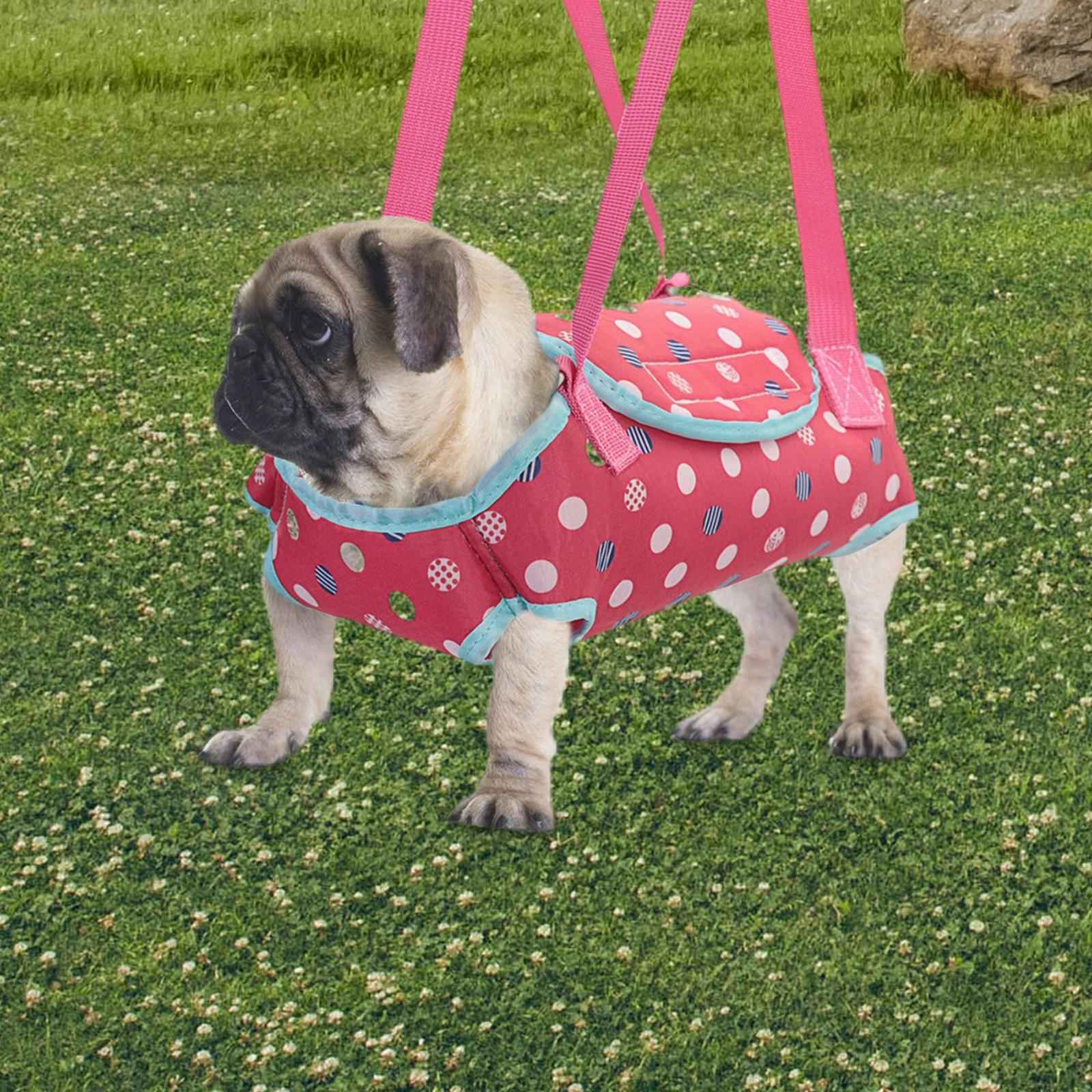Hands Free Carrier Backpack Comfortable Pet Slings Bag for Camping S