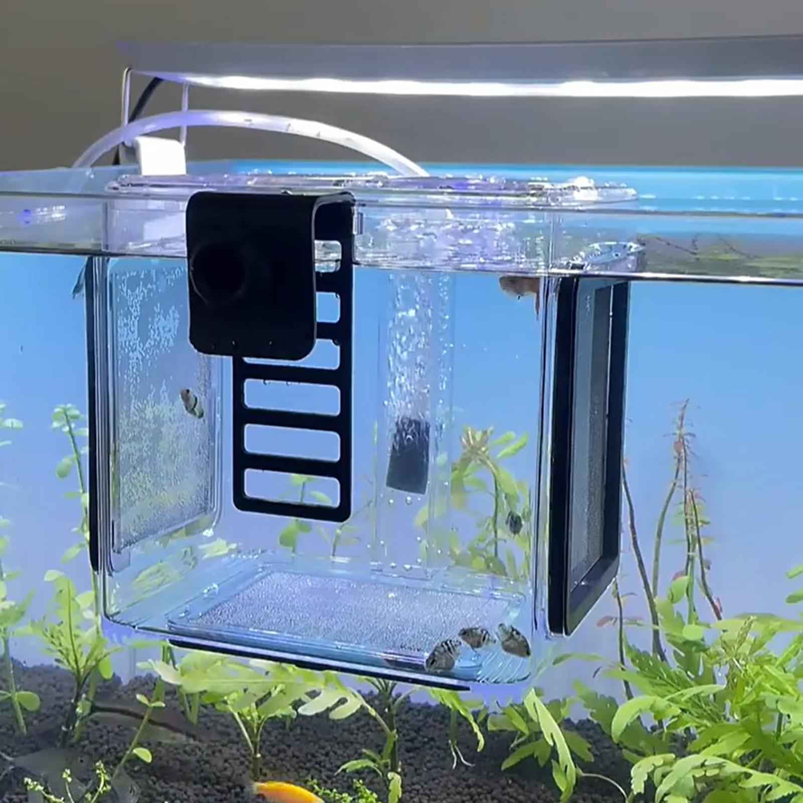 Aquarium Fish Breeding Box Fish Tank Hatching Incubator for Aggressive Fish