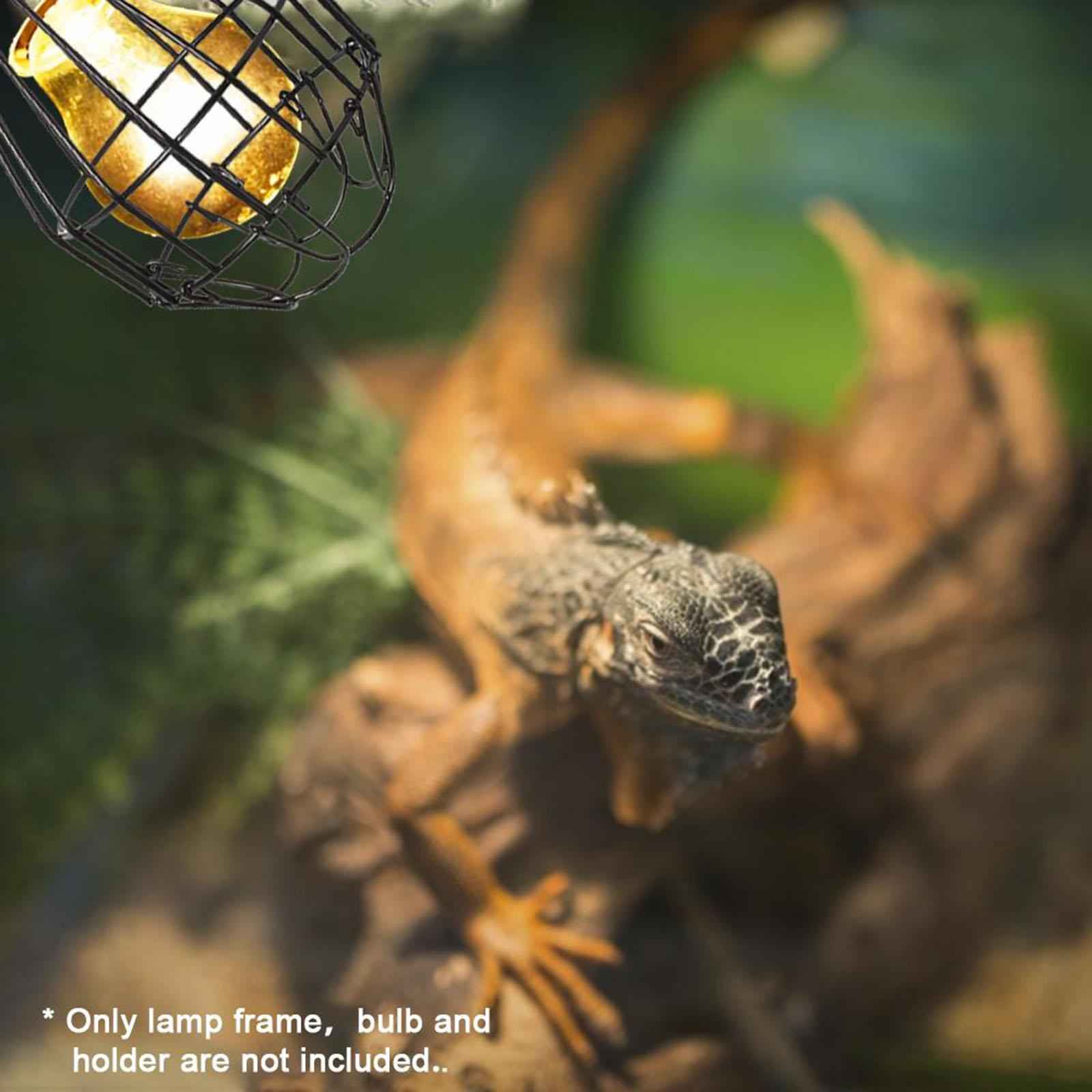 Reptile Heating Anti Scald Lamp Bulb for Bird