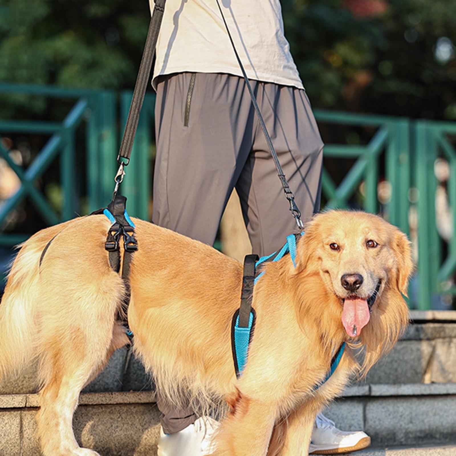 Padded Dog Lift Harness Support Sling Lifter with Handle Walk Full Body L