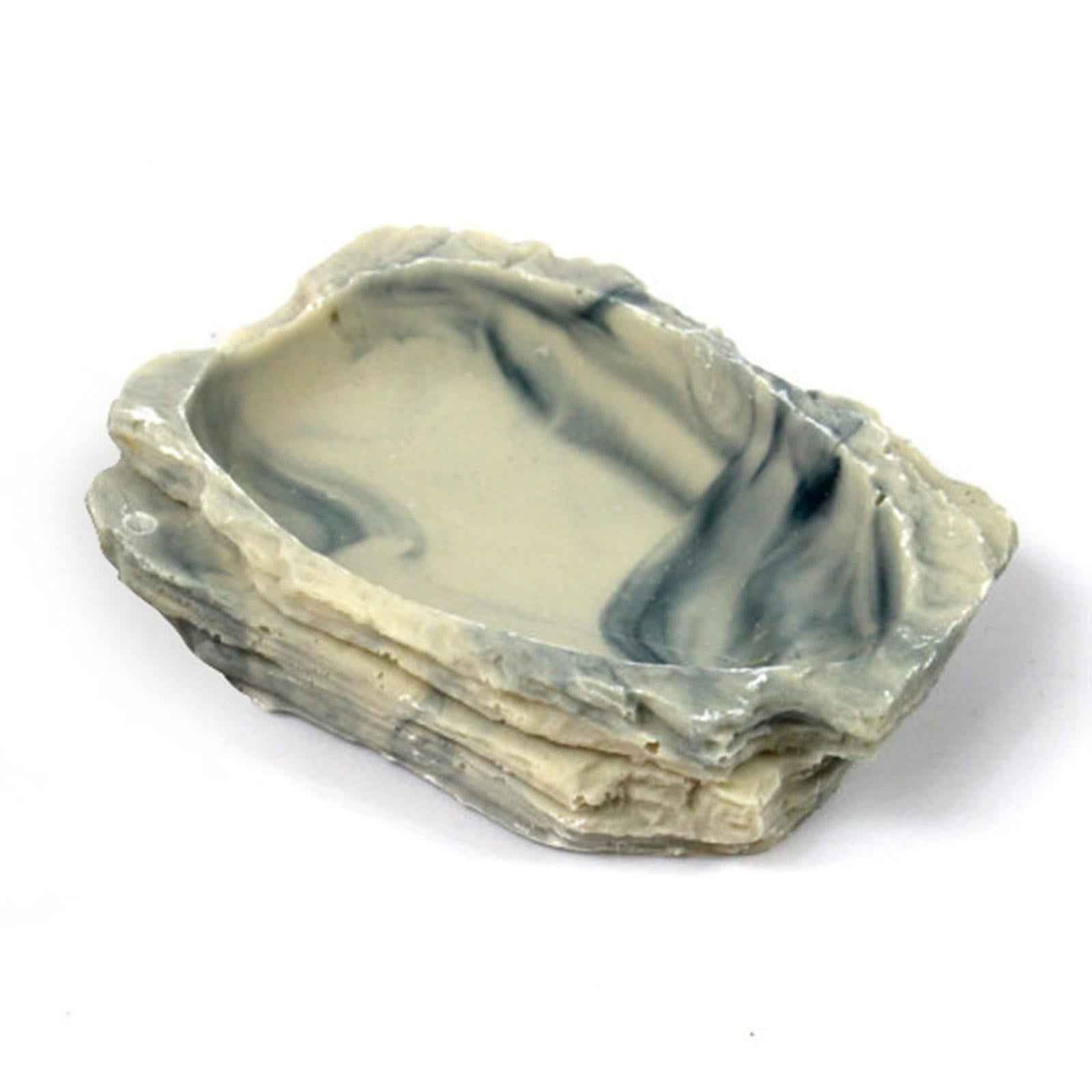 Reptile Food Water Bowl Plate Feeding Tray for Terrapin Chameleon Lizard