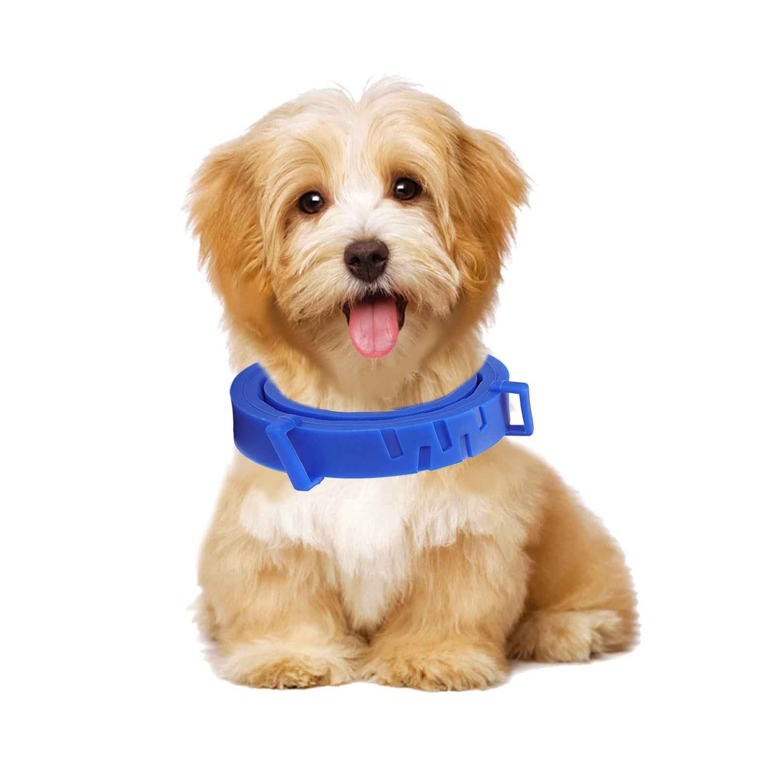 Anti Flea and Tick Neck Kitten Portable 8 Months Protection Dogs Flea Collar blue 70cm